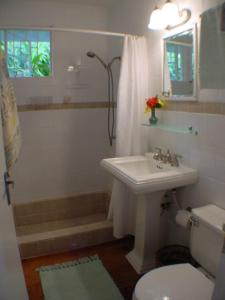 a white bathroom with a sink and a toilet at Tranquility Villa in Port Antonio