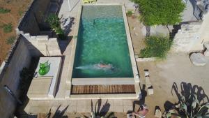 - une vue sur la grande piscine d'eau dans l'établissement Masseria Tornesella Don Giuliano, à Parabita