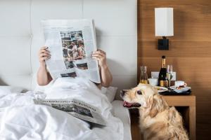 Domácí mazlíčci ubytovaní s hosty v ubytování Vinschgerhof
