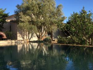 アプトにあるLa Bastide des Jonquetsの木と水のプールのある家