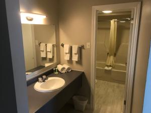 a bathroom with a sink and a mirror and a shower at The Auberge Inn in New Liskeard