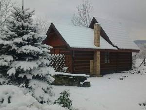 Agroturystyka w ogrodach v zime