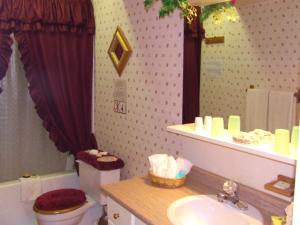 Bathroom sa Silvern Lake Trail Bed and Breakfast