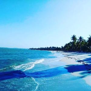 - une plage avec un groupe de palmiers et l'océan dans l'établissement Pousada Sol da Ilha, à Igrapiúna