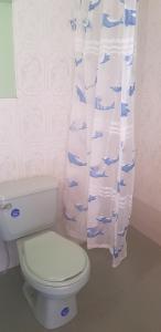 a bathroom with a toilet and a shower curtain at Hostal Utama in Comunidad Yumani