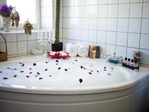 Fotografie z fotogalerie ubytování Hotell Läckö v destinaci Lidköping + 37 fotografií