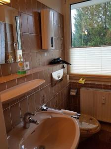 ein Bad mit einem Waschbecken und einem Fenster in der Unterkunft Fewo Aurora in Hahnenklee-Bockswiese