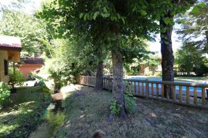Um jardim em Santa Maria Pucon