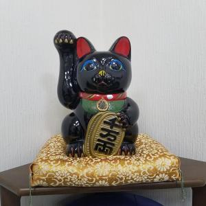 a statue of a black cat sitting on a cushion at 四万川 in Yaochō