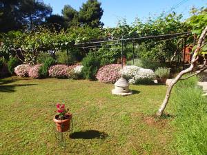 a garden with a pot of flowers in the grass at Apartments Nicole in Pula