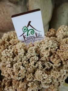 Gallery image of Hotel Kalang Ulu in Berastagi +38 photos