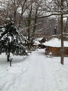 a snow covered yard with trees and a cabin at Apartamenty w Ustroniu in Ustroń