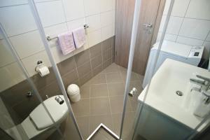 Kúpeľňa v ubytovaní Apartman "Mary"