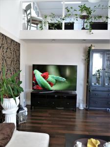 Schedler 2 في Gerbrunn: غرفة معيشة مع تلفزيون بشاشة مسطحة