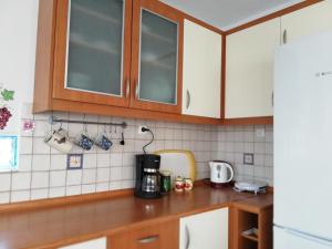 Kuchyňa alebo kuchynka v ubytovaní Dora's House comfortable apartment with a yard and view