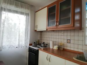 Kuchyňa alebo kuchynka v ubytovaní Dora's House comfortable apartment with a yard and view