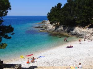 a group of people on a beach near the water at Apartments Nicole in Pula