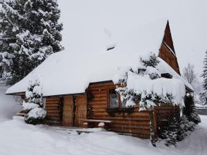 Domki Camping Harenda v zime