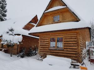 Domki Camping Harenda v zime