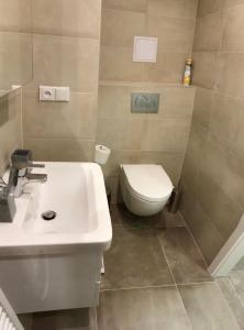 Koupelna v ubytování Útulný apartmán u Mumlavských vodopádů