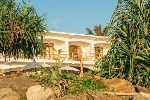 Zahrada ubytování Dreamsea Sri Lanka