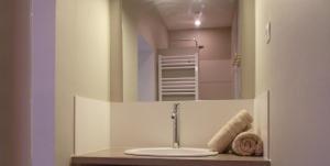 uma casa de banho com um lavatório e um espelho em Lesneven Appart Nuitee em Lesneven
