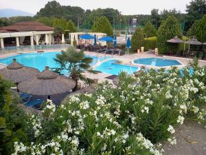 The swimming pool at or close to Oasi