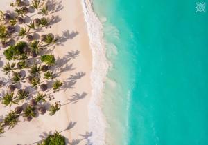 an overhead view of a beach with palm trees and the ocean at Zuri Zanzibar in Kendwa