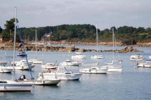 a group of boats are docked in a harbor at Petite location de vacances en Bretagne sud in Névez