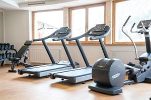 Fitness centrum a/nebo fitness zařízení v ubytování Hotel Trattlerhof