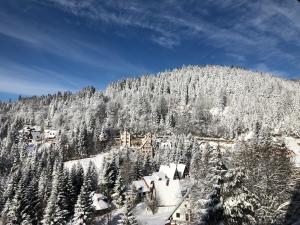 Το Stara Bačija τον χειμώνα
