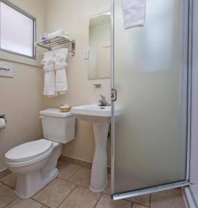 a bathroom with a toilet and a sink and a shower at El Camino Inn in Daly City
