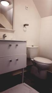 W łazience znajduje się toaleta, umywalka i lustro. w obiekcie Hôtel Restaurant L'Industrie w mieście Saint-Omer