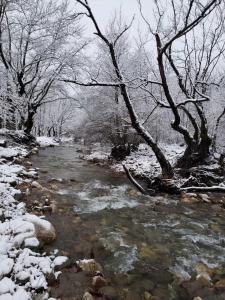 a stream with snow on the branches of trees at Dryades Guesthouse in Ano Chora