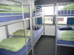 two bunk beds in a room with a window at Mount Backpackers in Mount Maunganui