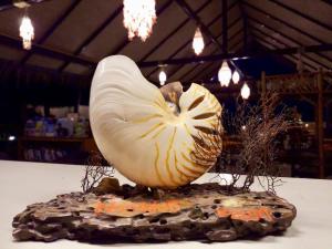 Fotografie z fotogalerie ubytování Nautilus Right on the Beach - Adult Only - SHA Extra Plus v destinaci Ko Lanta