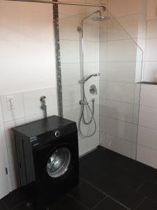 a washing machine in a bathroom with a shower at Ferienwohnung Haag in Uhldingen-Mühlhofen +13 photos