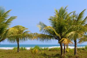 a group of palm trees on the beach at Villadevi in Pangandaran