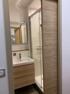 a bathroom with a sink and a shower at Studio des Cintes Blanques in Aragnouet