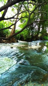 a river with green water and trees in the background at Stream View Family Resort in Dambulla