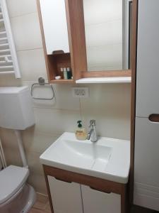 een badkamer met een wastafel en een toilet bij Apartman Centar 1 in Užice