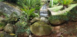 einen Wasserfall in einem Garten mit Felsen und Pflanzen in der Unterkunft Pousada Vertente das Águas in Lumiar
