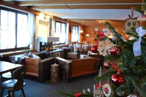 Posezení v ubytování Mountain Lodge Sedrun