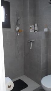 y baño con ducha, lavabo y aseo. en Lovely loft, en Málaga