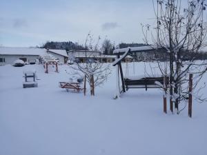 Obiekt Święty Spokój Bieszczady 782-047-324 zimą