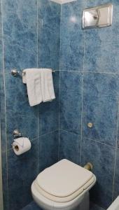a bathroom with a white toilet and blue tiles at Plaza Independencia in Mendoza +17 photos