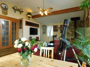 TV o dispositivi per l'intrattenimento presso The Calgary Hub hostel style Home