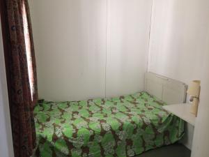 ein kleines Schlafzimmer mit einem Bett mit grüner Decke in der Unterkunft Appartement L Eiffel in Coulonges
