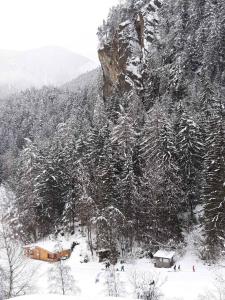 Piburg Seebichlhof during the winter