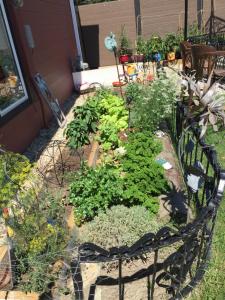 Giardino di The Calgary Hub hostel style Home